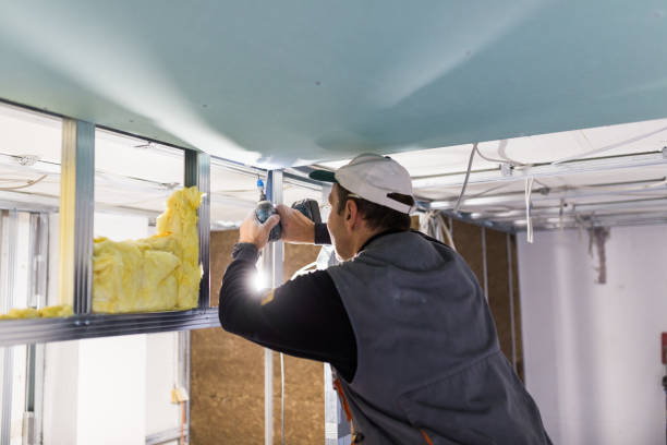 Best Insulation Installation Services in Flat Rock, NC